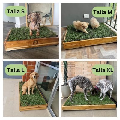 Sanitario Ecologico Tapete de pasto real