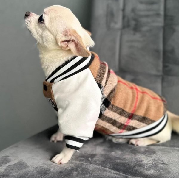 Chaqueta Burberry 1.2