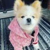 Chaqueta rosa poochi 1