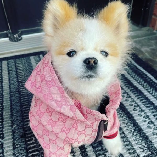 Chaqueta rosa poochi 1