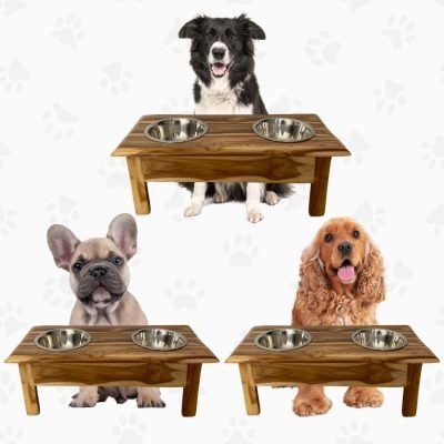 Comedero Elevado Mini para Perros