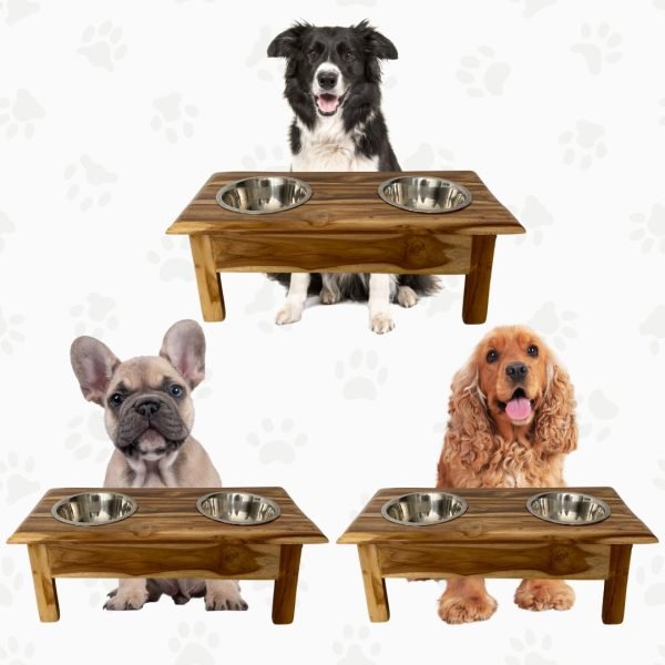 Comedero Elevado Mini para Perros