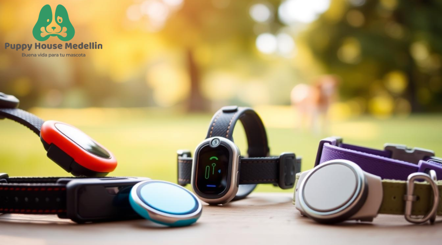 Collar GPS para perro